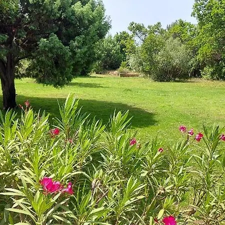 Bonifacio Porto-vecchio Résidence Riviera Avec Piscine Сasa de vacaciones *