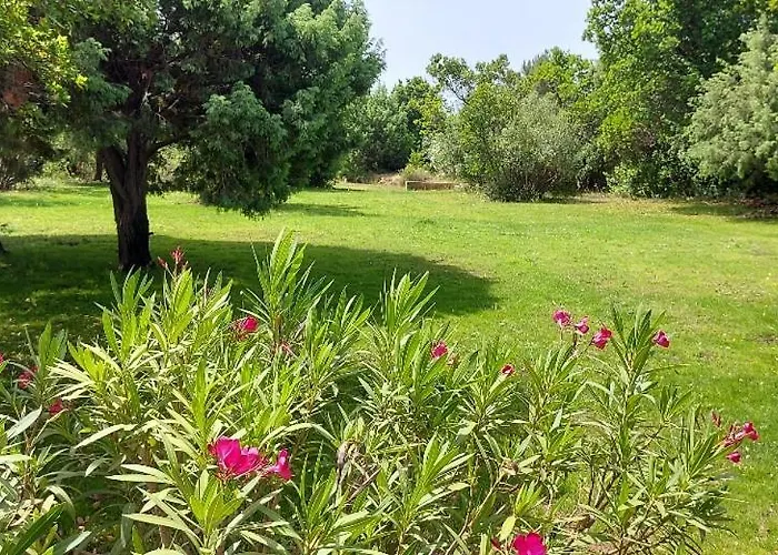 Bonifacio Porto-vecchio Résidence Riviera Avec Piscine Hébergement de vacances *