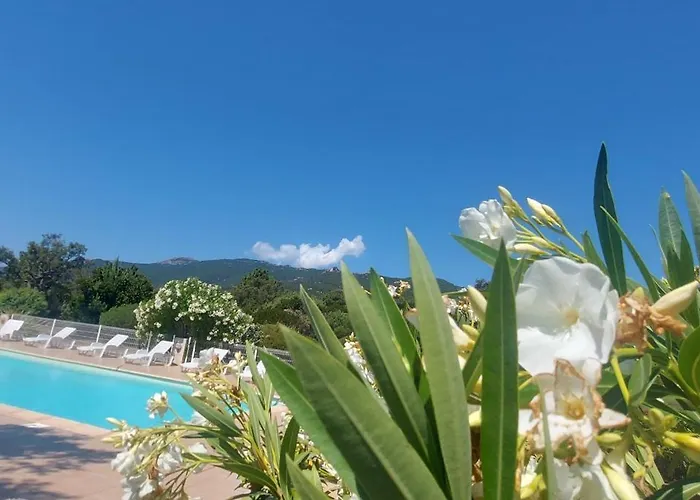 Porto Vecchio - Riviera- Bonifacio Holiday home *
